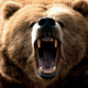 Illustration for article titled Syfys next hybrid monster should be Bearantula!